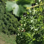 With A - C In 54833 Holiday home