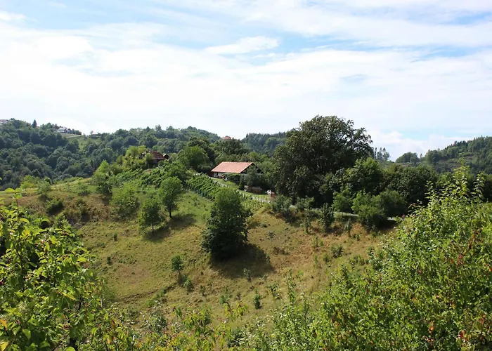 بيت للعطل With A - C In Zgornji Leskovec 54833 Zgornji Leskovec