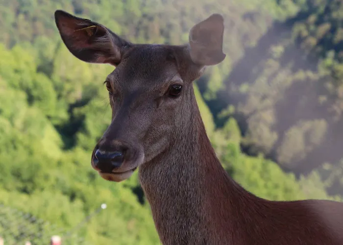 بيت للعطل With A - C In Zgornji Leskovec 54833