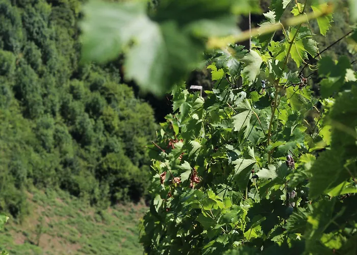 With A - C In Zgornji Leskovec 54833 بيت للعطل